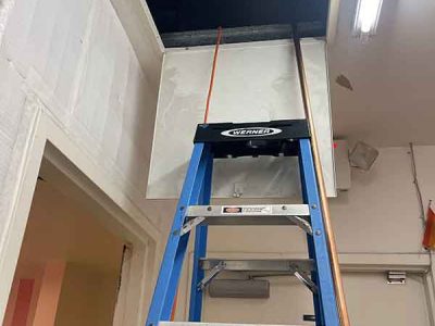Mold Removal