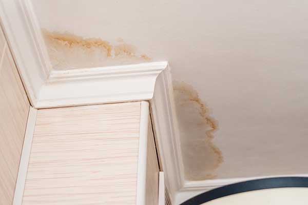 Water Restoration and Mold Removal Services